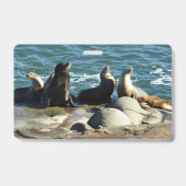 San Diego Seelöwen Ausweis (Rückseite)