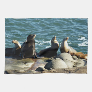 San Diego Seelöwen Geschirrtuch