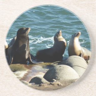 San Diego Seelöwen Getränkeuntersetzer
