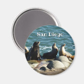 San Diego Seelöwen Magnet (Vorderseite/Rückseite)