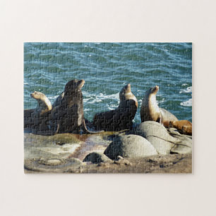 San Diego Seelöwen Puzzle