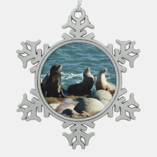 San Diego Seelöwen Schneeflocken Zinn-Ornament