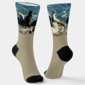 San Diego Seelöwen Socken (Gewinkelt)