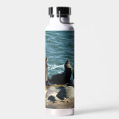 San Diego Seelöwen Trinkflasche (Links)