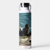 San Diego Seelöwen Trinkflasche (Vorne)