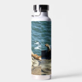 San Diego Seelöwen Trinkflasche (Rechts)
