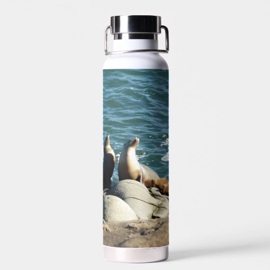 San Diego Seelöwen Trinkflasche (Rückseite)
