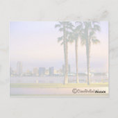 San Diego Shoreline Postkarte (Rückseite)