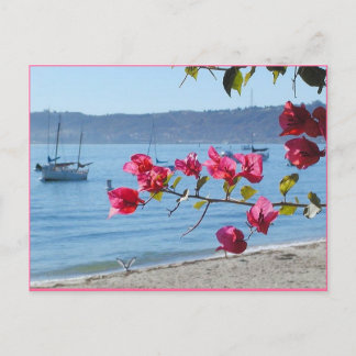 San Diego Strand Postkarte