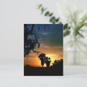 San Diego Sunset Postkarte (Stehend Vorderseite)