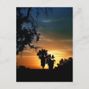 San Diego Sunset Postkarte