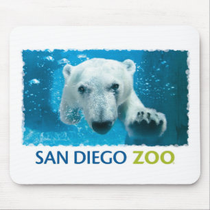 San Diego Zoo-Eisbär Mousepad