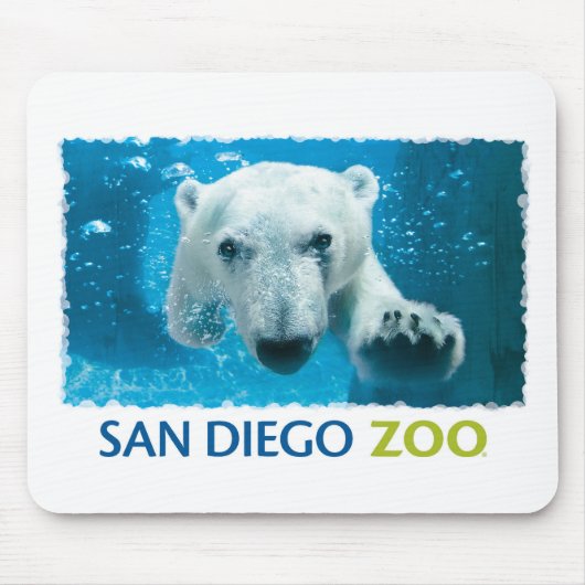 San Diego Zoo-Eisbär Mousepad (Vorne)