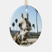 San Diego Zoo Keramik Ornament (Rechts)