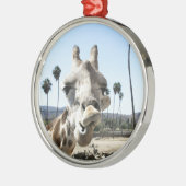 San Diego Zoo Ornament Aus Metall (Links)