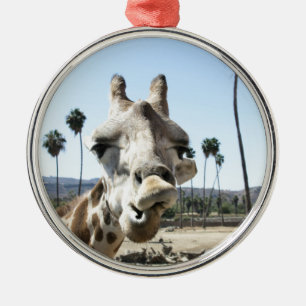 San Diego Zoo Ornament Aus Metall