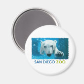 San Diego Zoo Polar Bear Magnet (Vorderseite/Rückseite)