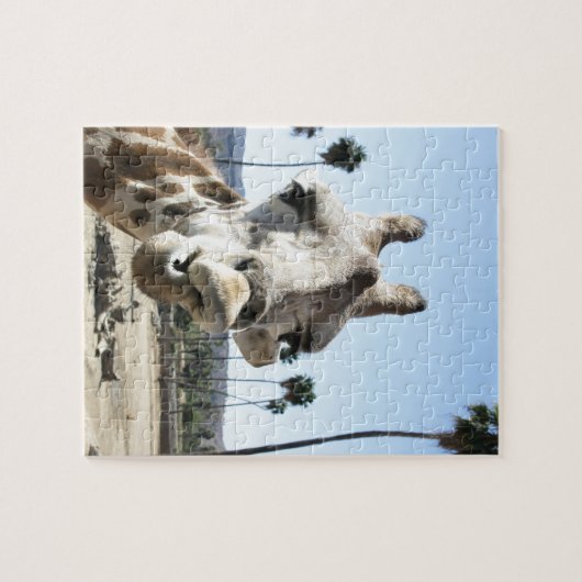 San Diego Zoo Puzzle (Horizontal)
