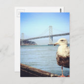 San Francisco Bay Bridge Seagull Postkarte (Vorne/Hinten)