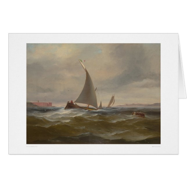 San Francisco Bay Felluca (1314) (Vorderseite (Horizontal))