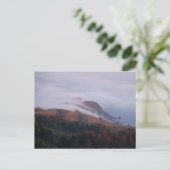 San Francisco Bay Fog kommt aus dem Ozean Postkarte (Stehend Vorderseite)