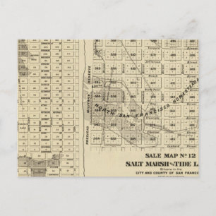 San- Francisco Baysalz-Sumpf 2 Postkarte