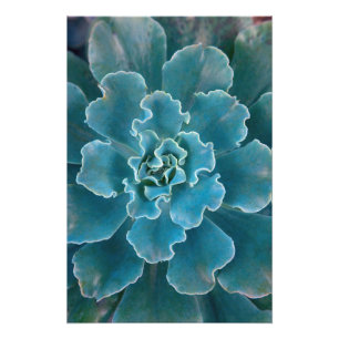 San Francisco Californias Golden Gate Park und Fotodruck