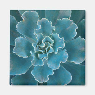 San Francisco Californias Golden Gate Park und Magnet