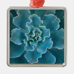 San Francisco Californias Golden Gate Park und Ornament Aus Metall