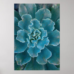 San Francisco Californias Golden Gate Park und Poster