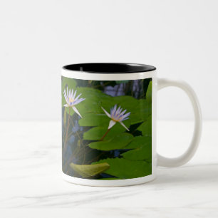 San Francisco Californias Golden Gate Park und Zweifarbige Tasse