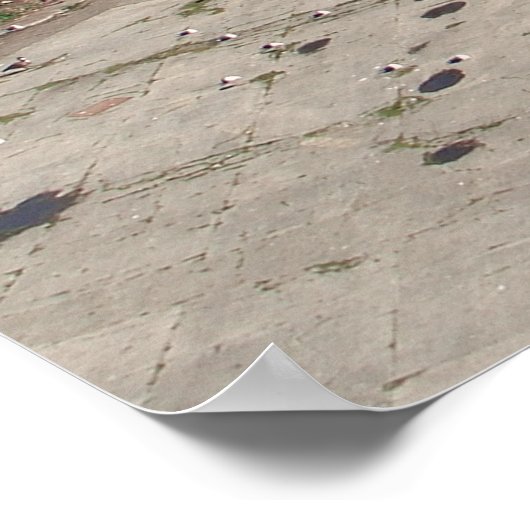 SAN FRANCISCO CITY PANORAMA POSTER (Ecke)