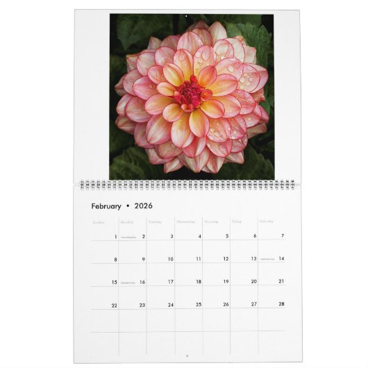 San Francisco Dahlias 2022 Kalender (Feb 2026)