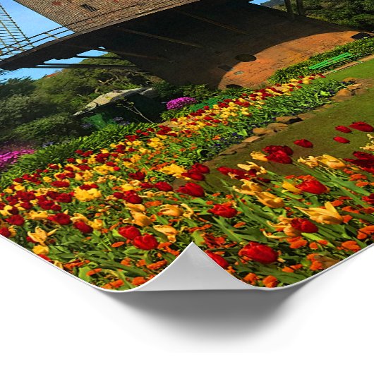 San Francisco Dutch Windmill #4 Poster (Ecke)