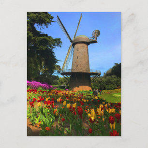 San Francisco Dutch Windmill #6 Postcard Postkarte