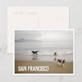 San Francisco Hunde auf der Beach Postcard Postkarte (Vorne/Hinten)