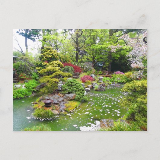 San Francisco Japanese Tea Garden #11 Postcard Postkarte (Vorderseite)