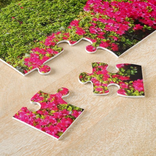 San Francisco Japanischer Teegarten #12 Puzzle (Seite)