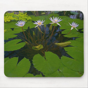 San Francisco Kaliforniens Golden Gate Park und Mousepad