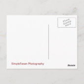 San Francisco Peak im Herbst Postkarte (Rückseite)