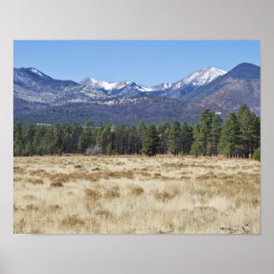 San Francisco Peaks - Flagstaff, Poster von Arizon