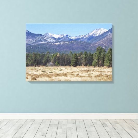 San Francisco Peaks gepackte Leinwand (Insitu (Holzboden))