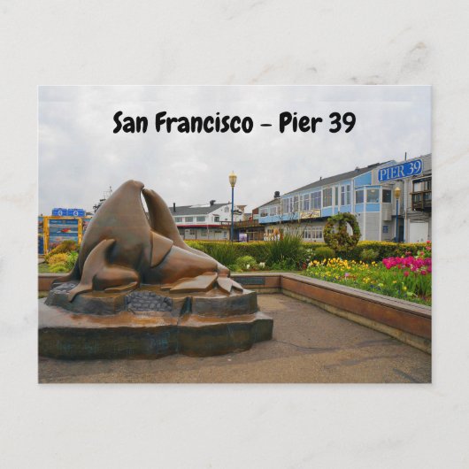San Francisco Pier 39 #13 Postkarte (Vorderseite)