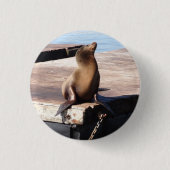 San Francisco Pier 39 Sea Lion Pinback Button (Vorderseite)