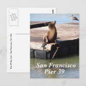 San Francisco Pier 39 Sea Lion Postcard Postkarte (Vorne/Hinten)