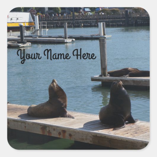 San Francisco Pier 39 Sea Lions #3 Stickers (Vorderseite)