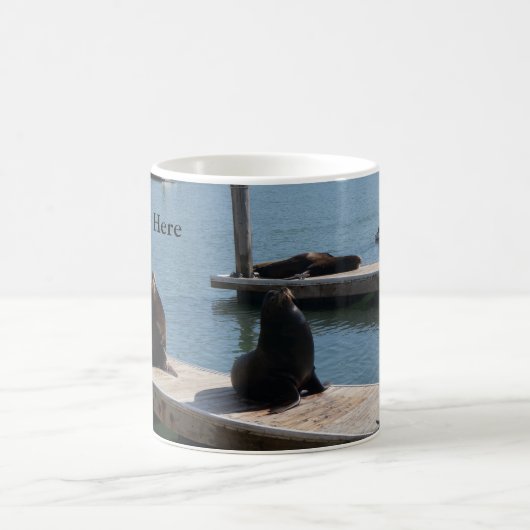 San Francisco Pier 39 Sea Lions #3 Tasse (Mittel)
