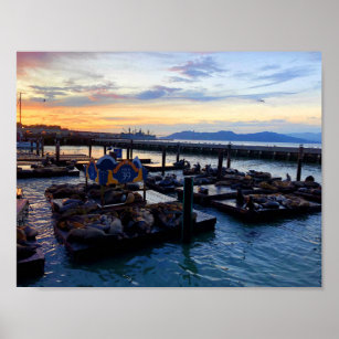 San Francisco Pier 39 Sea Lions #9 Poster