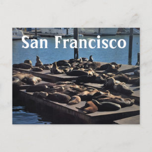 San Francisco Postcard Postkarte