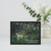 San Francisco Postcard Postkarte (Stehend Vorderseite)